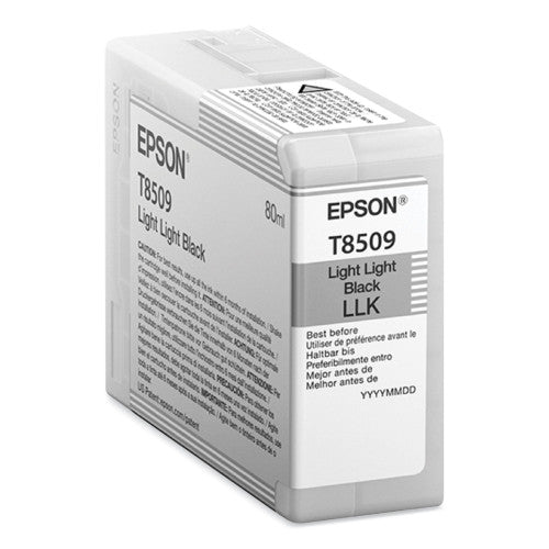 Cartucho de Tinta Epson Preto Light Light para SureColor P800 (T850900)